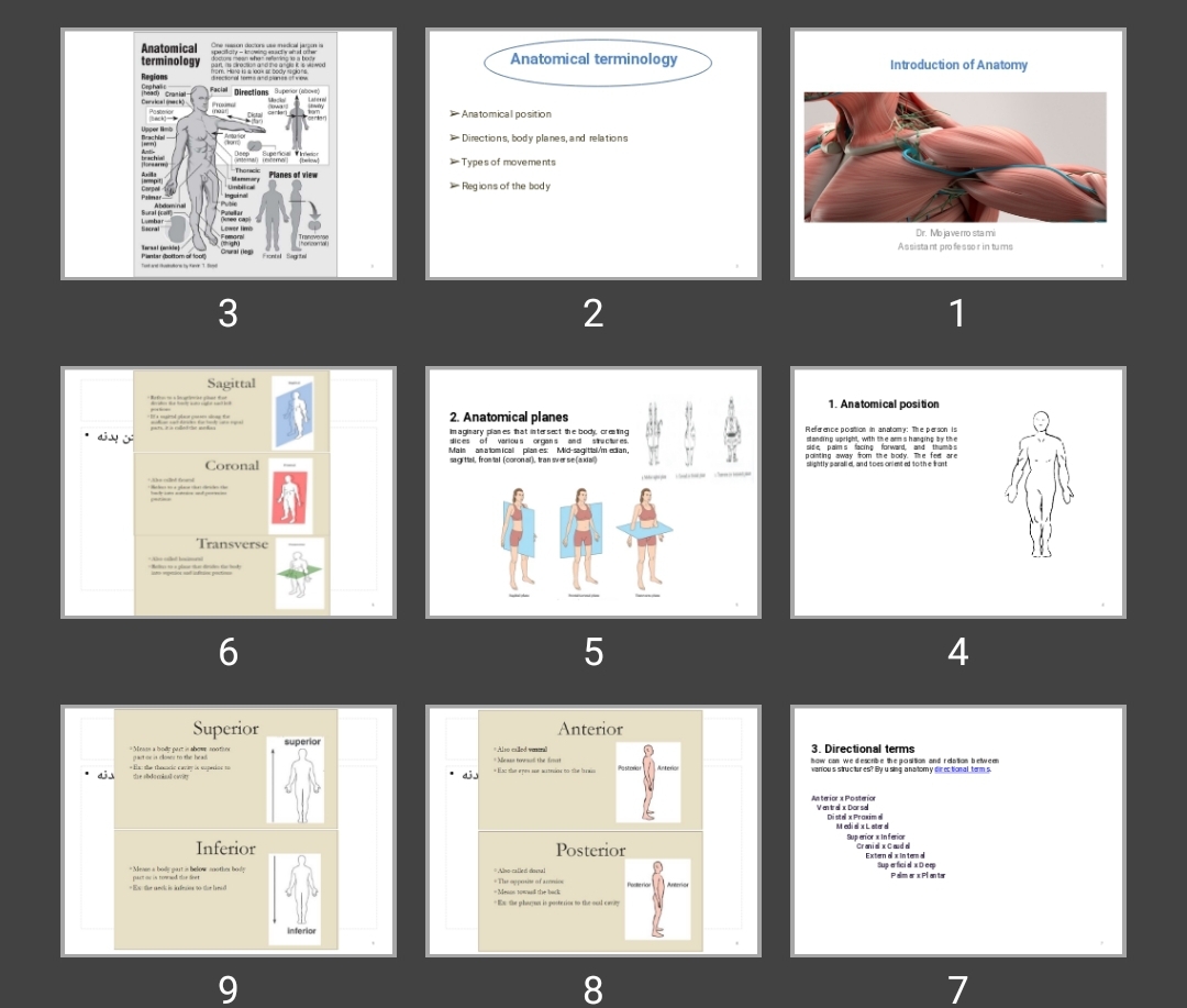 پاورپوینت Introduction of Anatomy