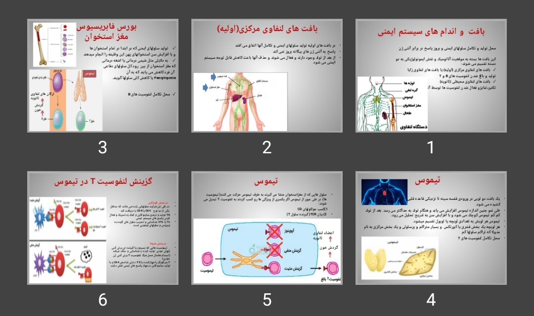 پاورپوینت بافت و اندام های سیستم ایمنی