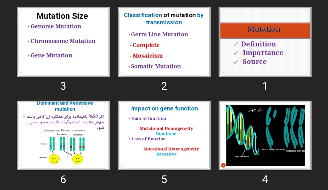 پاورپوینت Mutation