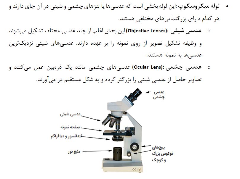 دانلود تحقیق میکروسکوپ WORD + PDF