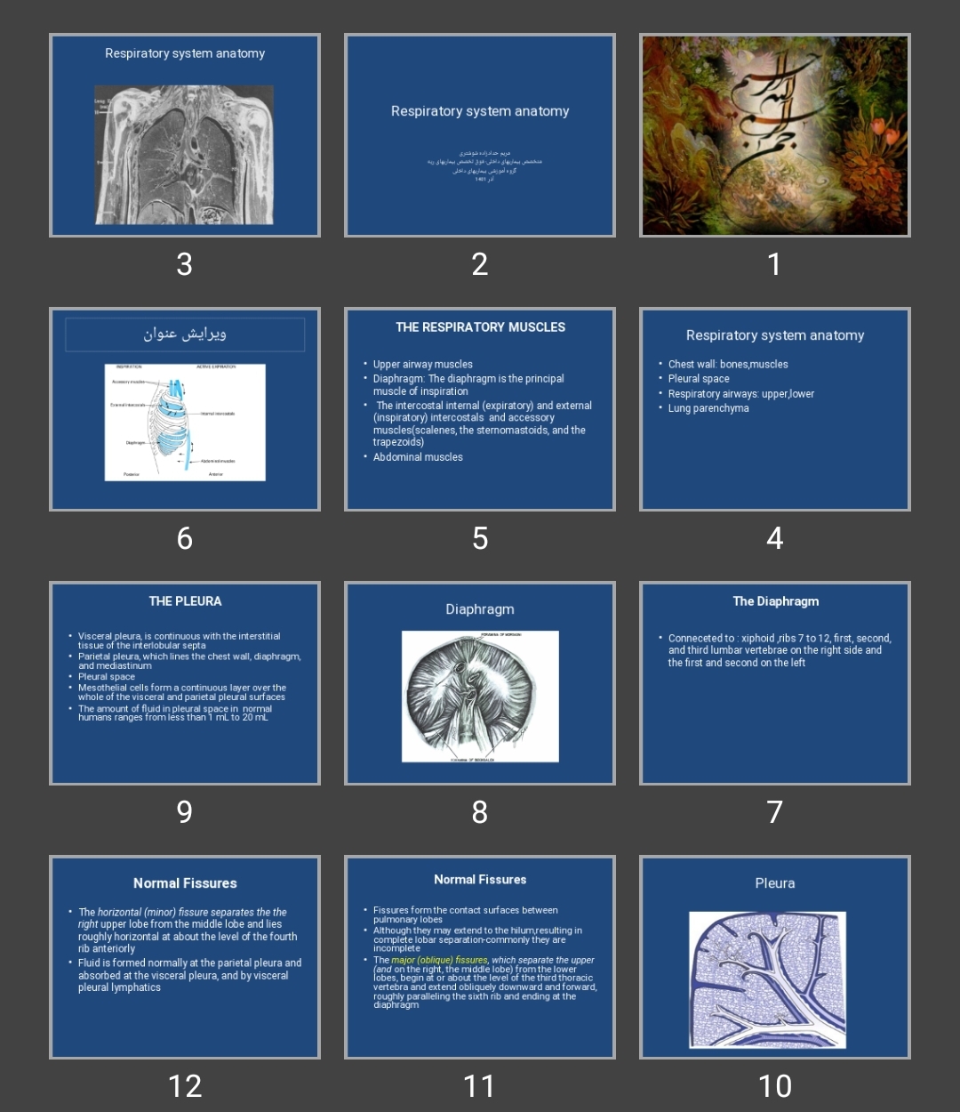 پاورپوینت Respiratory system anatomy