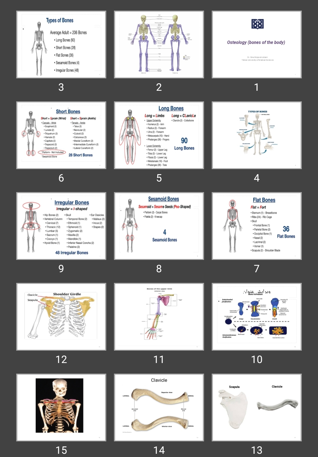پاورپوینت Osteology (bones of the body)