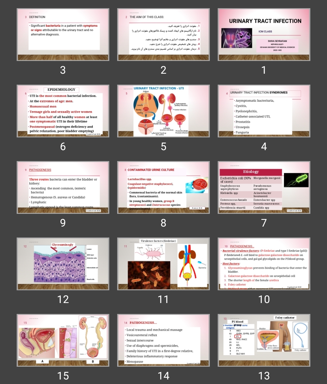 پاورپوینت Urinary tract infection