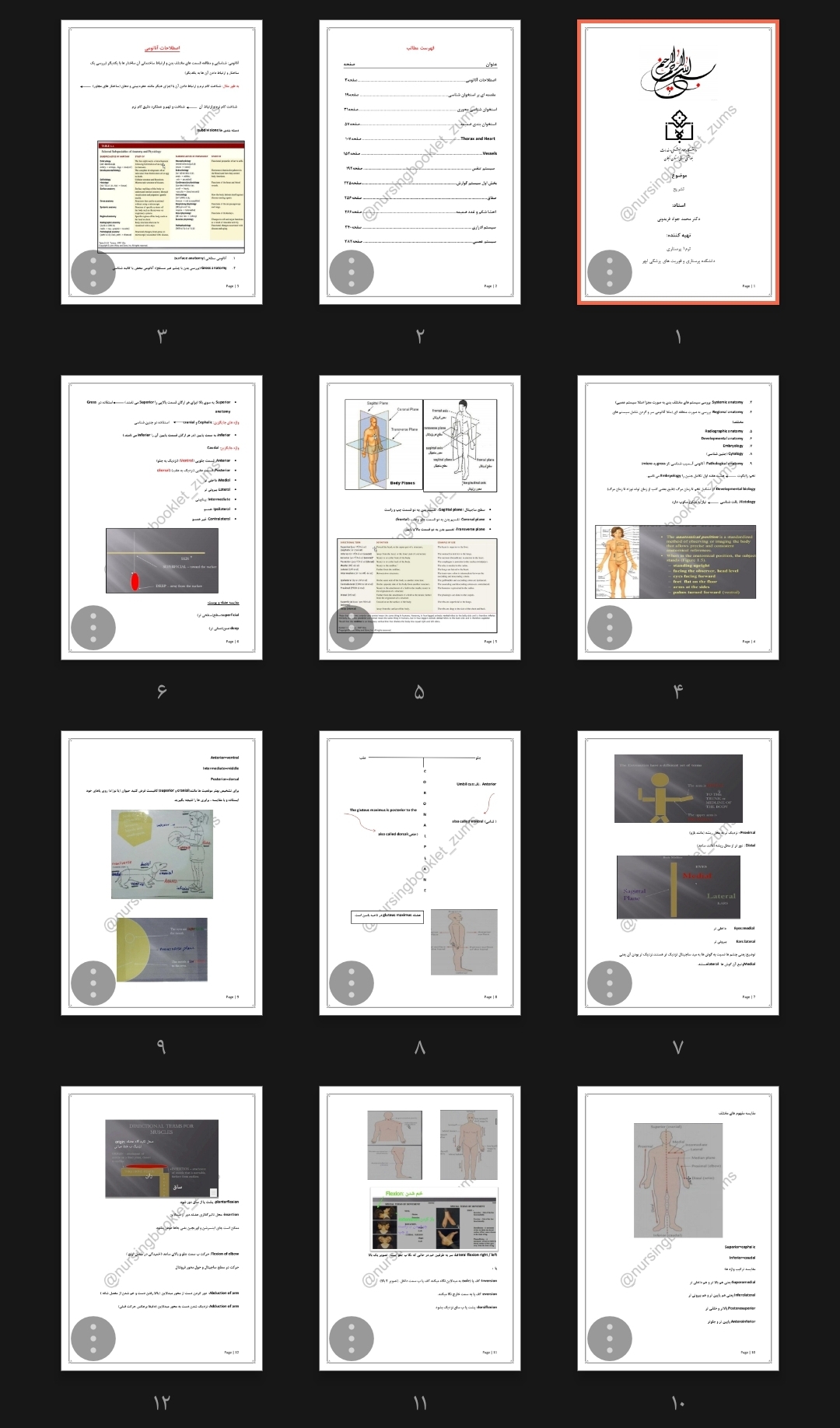 جزوه تشریح