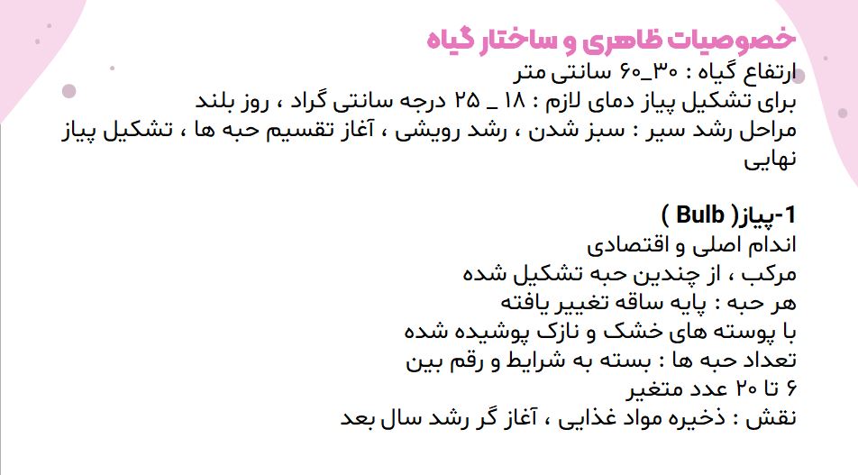 پاورپوینت آشنایی با گیاه سیر 34 اسلاید اتوماتیک با افکت