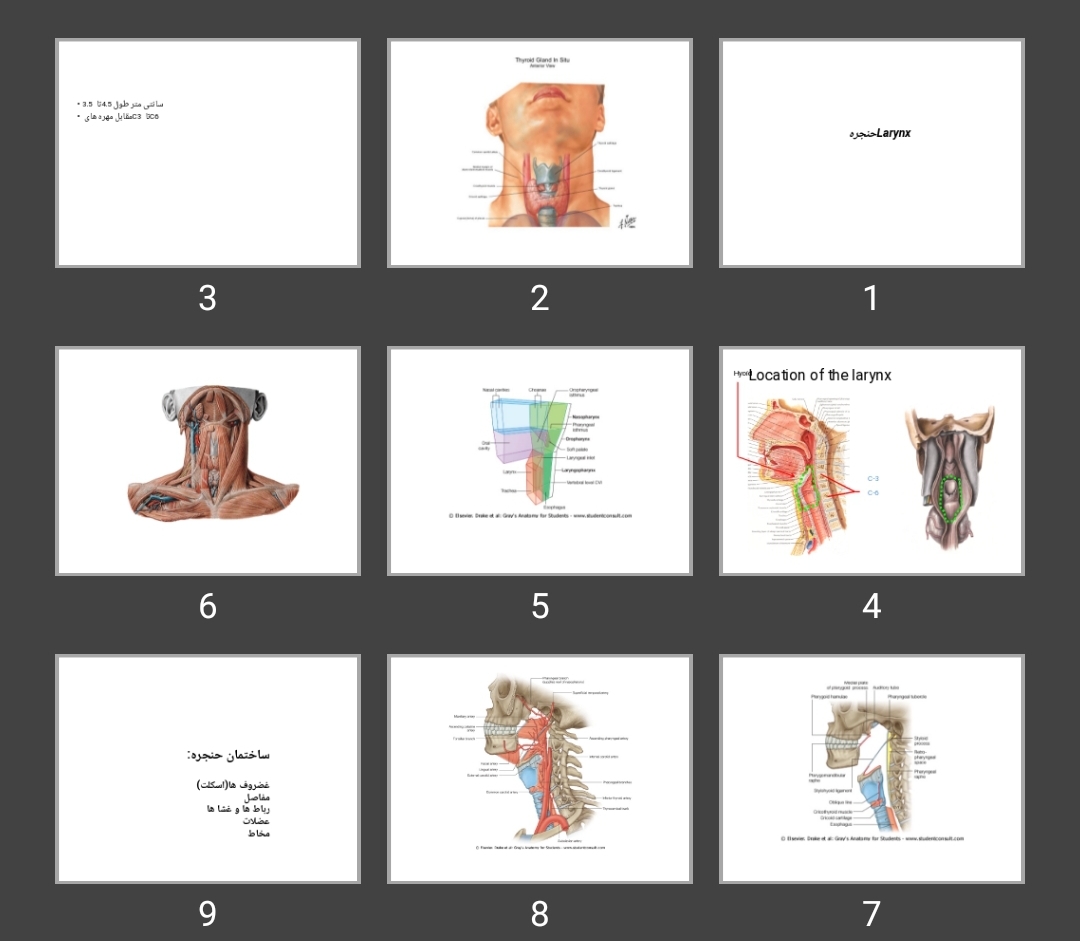 پاورپوینت حنجره Larynx