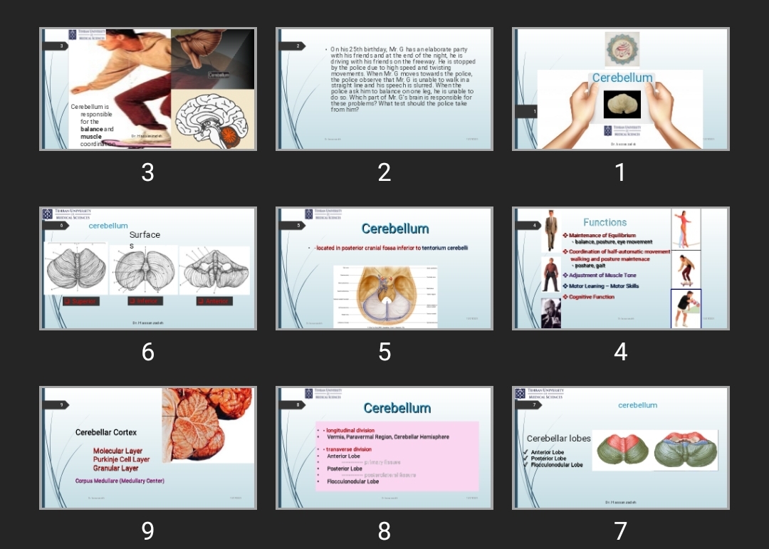 پاورپوینت Cerebellum