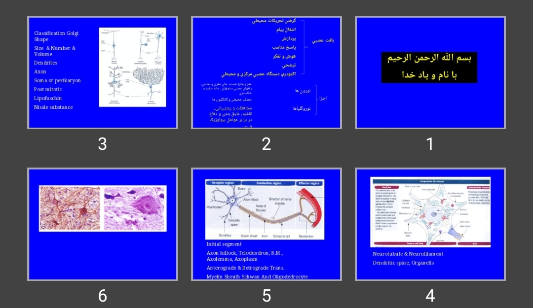 پاورپوینت Nerve tissue