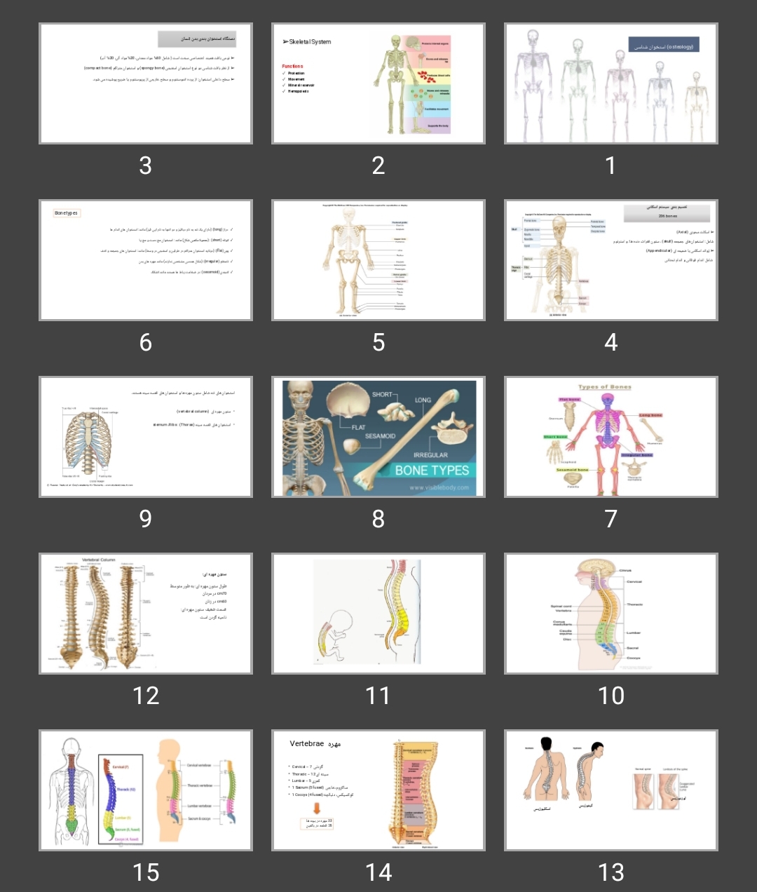 پاورپوینت (osteology) استخوان شناسی