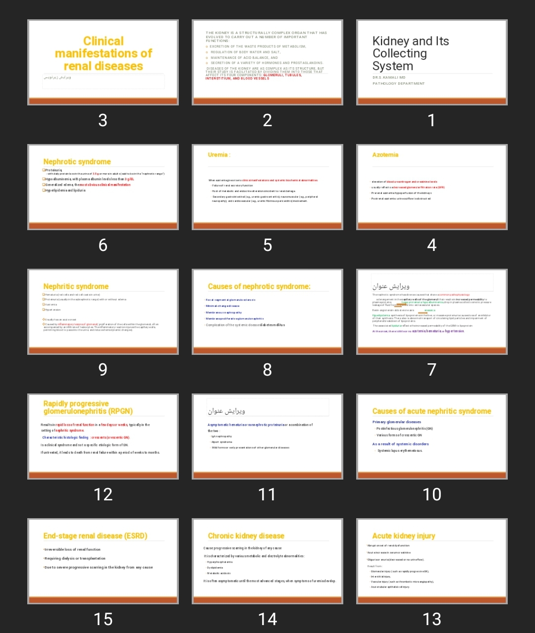 پاورپوینت Kidney and Its Collecting System