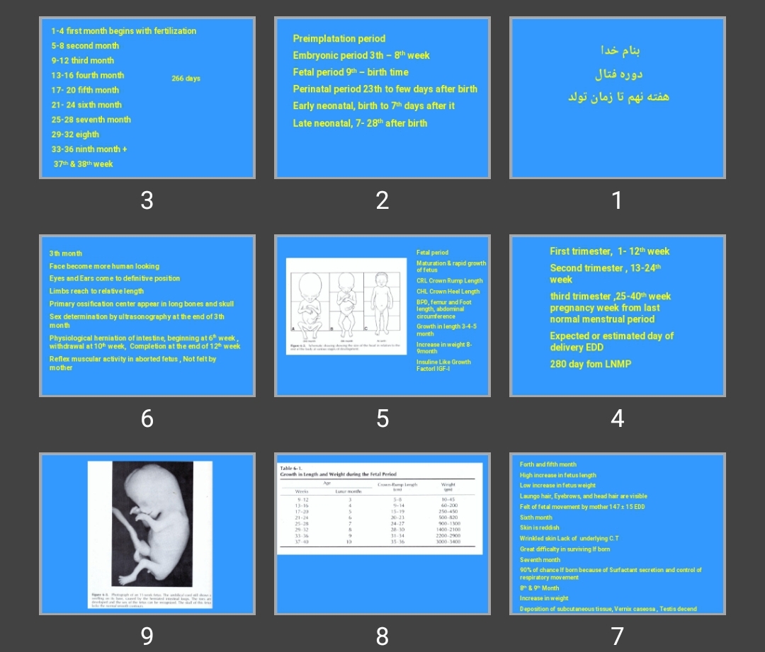 پاورپوینت دوره فتال هفته نهم تا زمان تولد fetal period