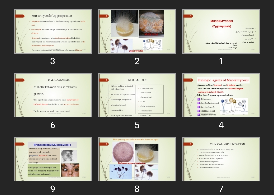 پاورپوینت MUCORMYCOSIS (Zygomycosis)
