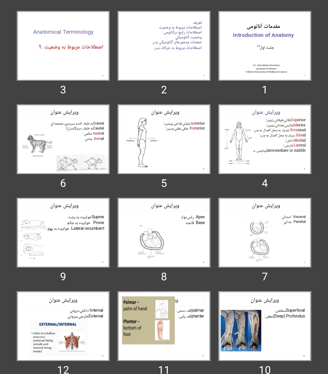پاورپوینت مقدمات آناتومی جلسه اول