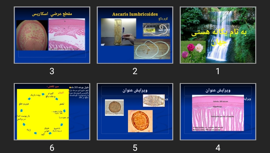 پاورپوینت Ascaris lumbricoides