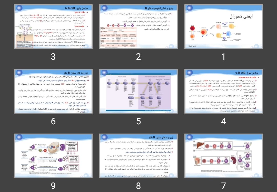 پاورپوینت ایمنی همورال