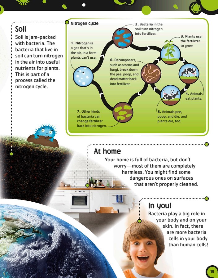 کتاب باکتری ها. جهان بزرگ میکروب های کوچک (زبان انگلیسی)