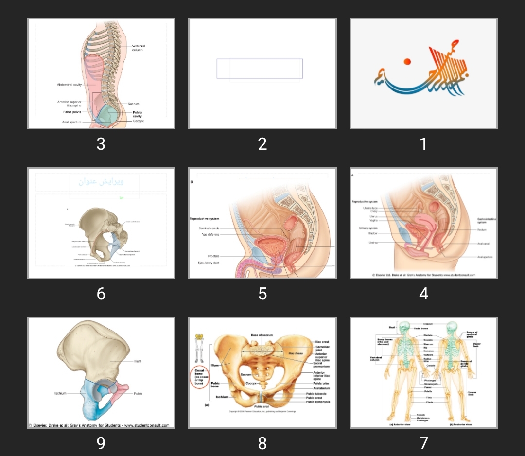 پاورپوینت pelvis wall