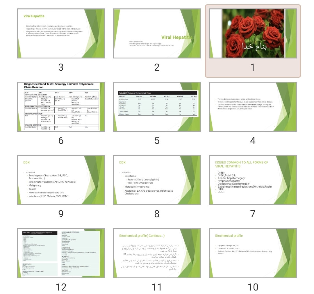 پاورپوینت Viral Hepatitis
