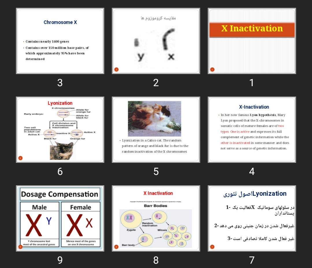پاورپوینت X Inactivation