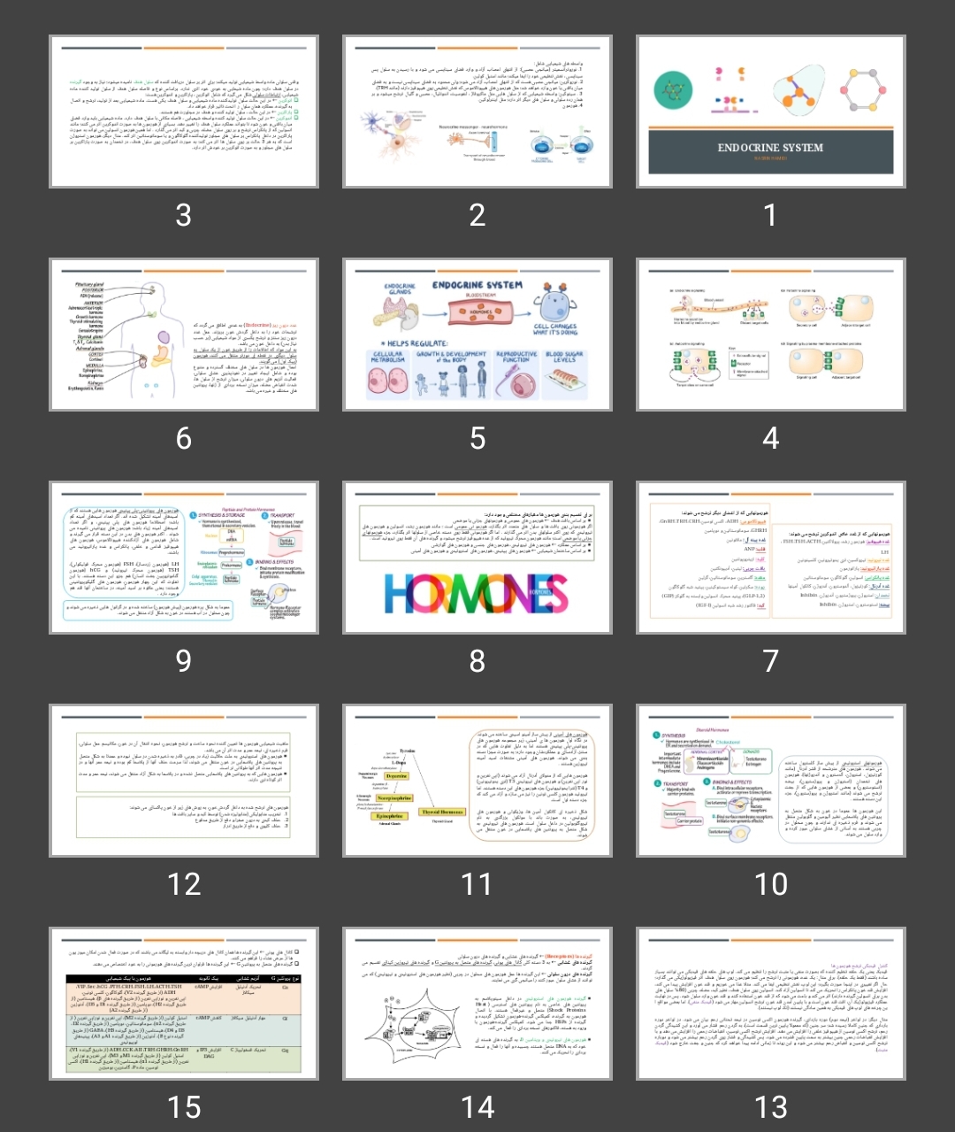 پاورپوینت Endocrine system