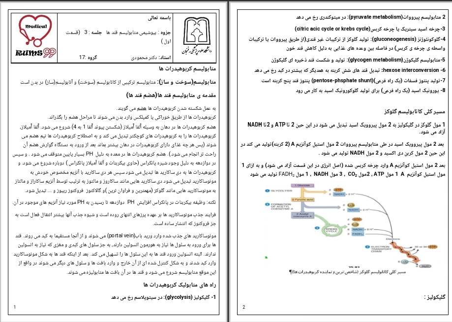 جزوه بیوشیمی متابولیسم قند ها