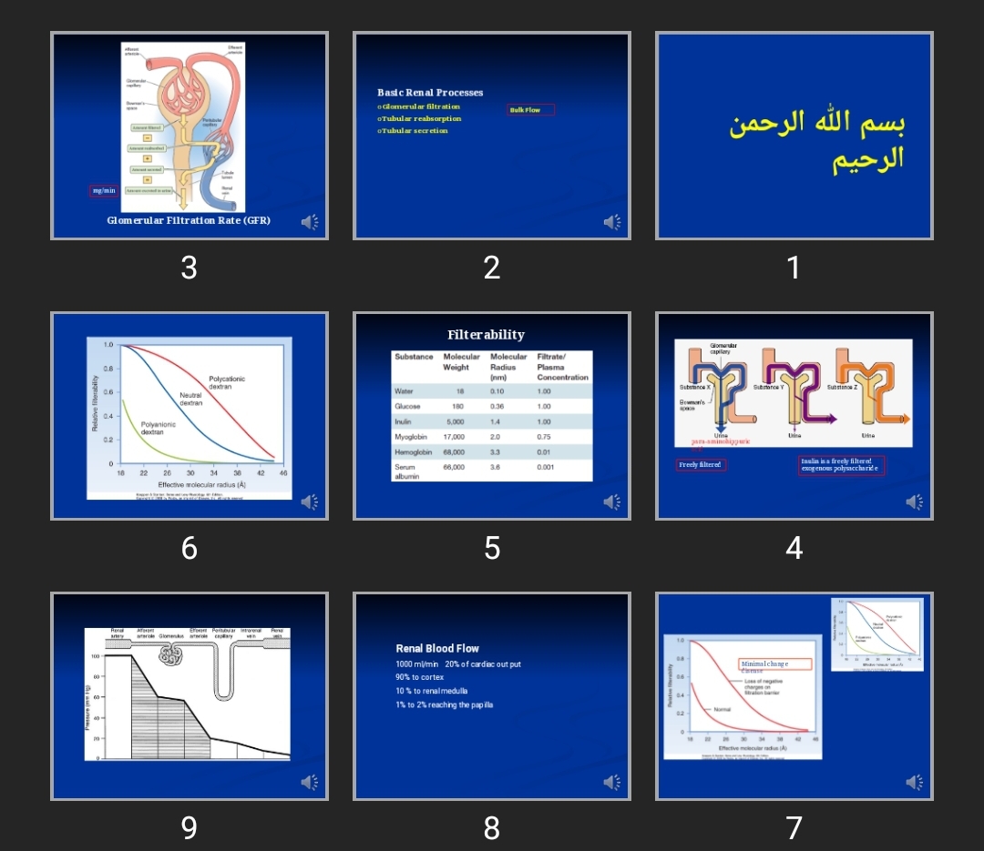 پاورپوینت فيزيولوژی کلیه جلسه دوم