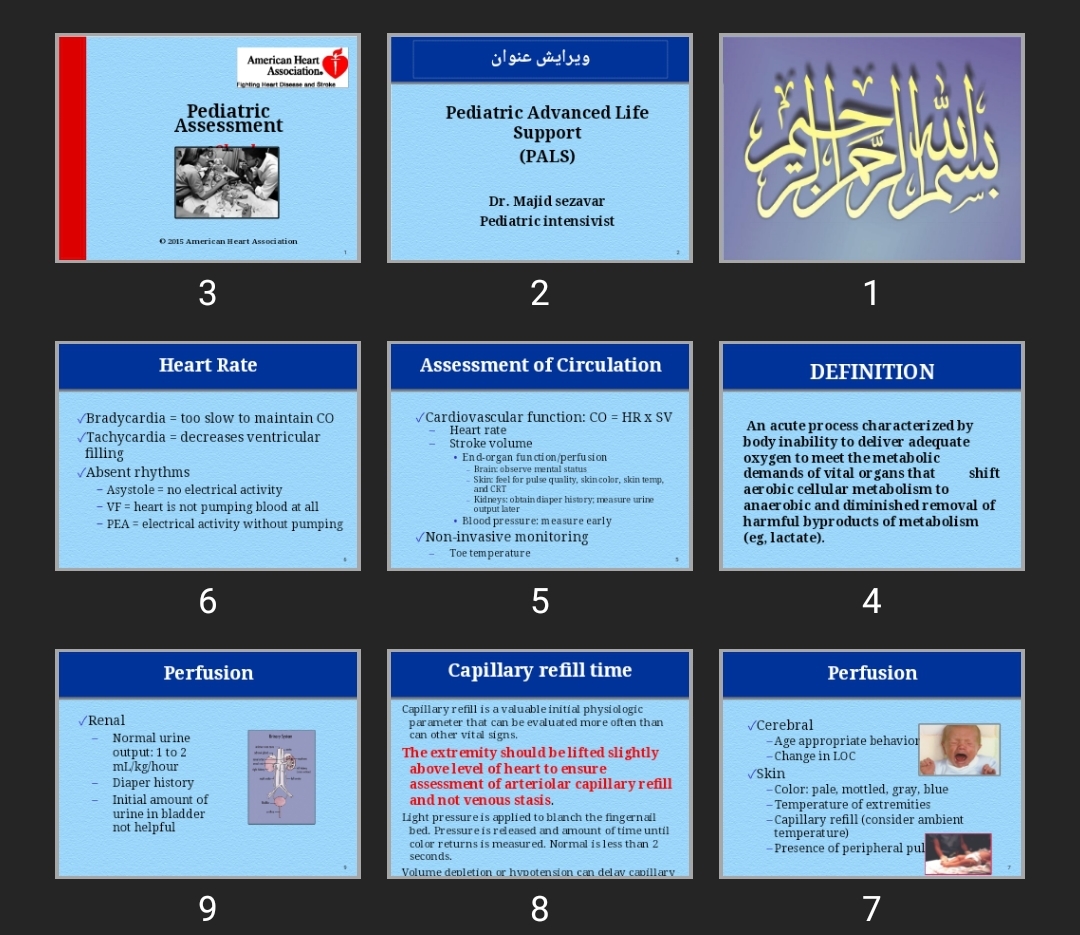 پاورپوینت Pediatric Advanced Life Support (PALS)