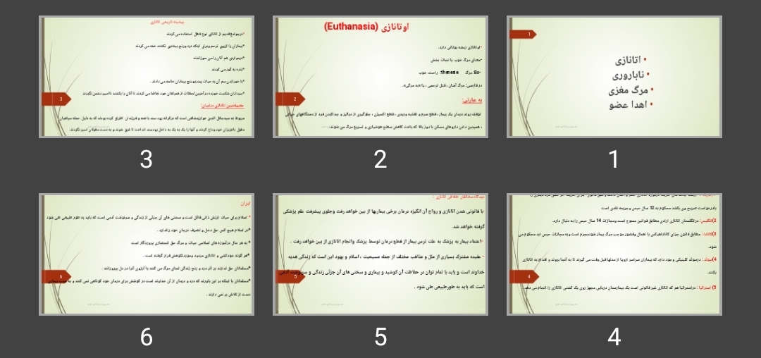 پاورپوینت اوتانازی Euthanasia