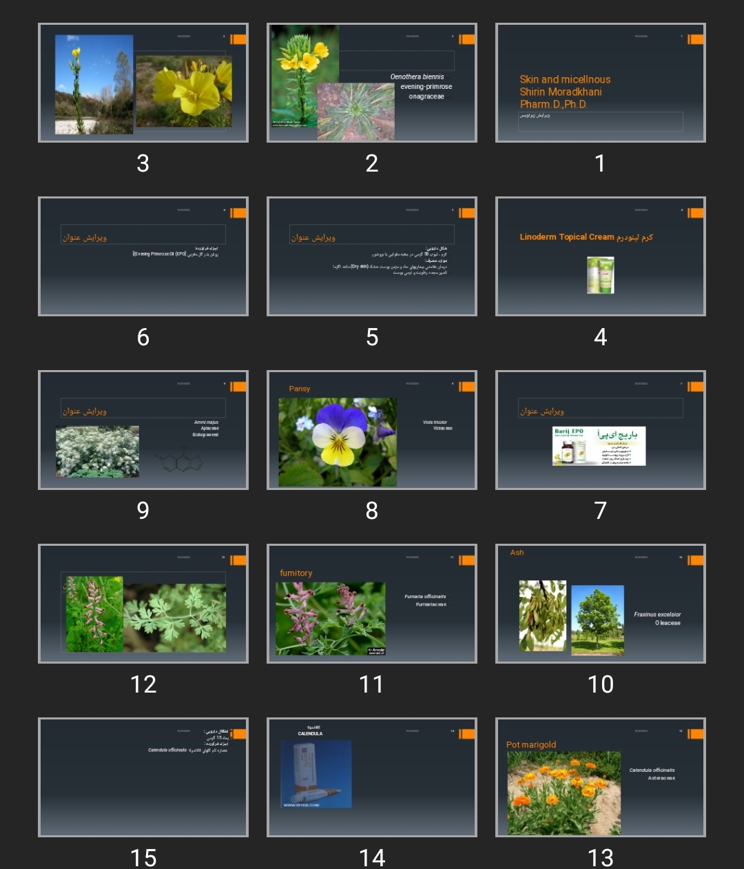 پاورپوینت Skin and micellnous
