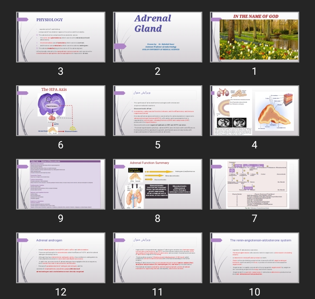 پاورپوینت Adrenal Gland