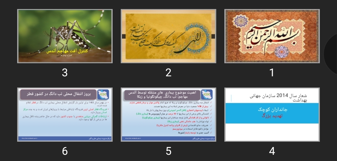 پاورپوینت کنترل آفت مهاجم آئدس