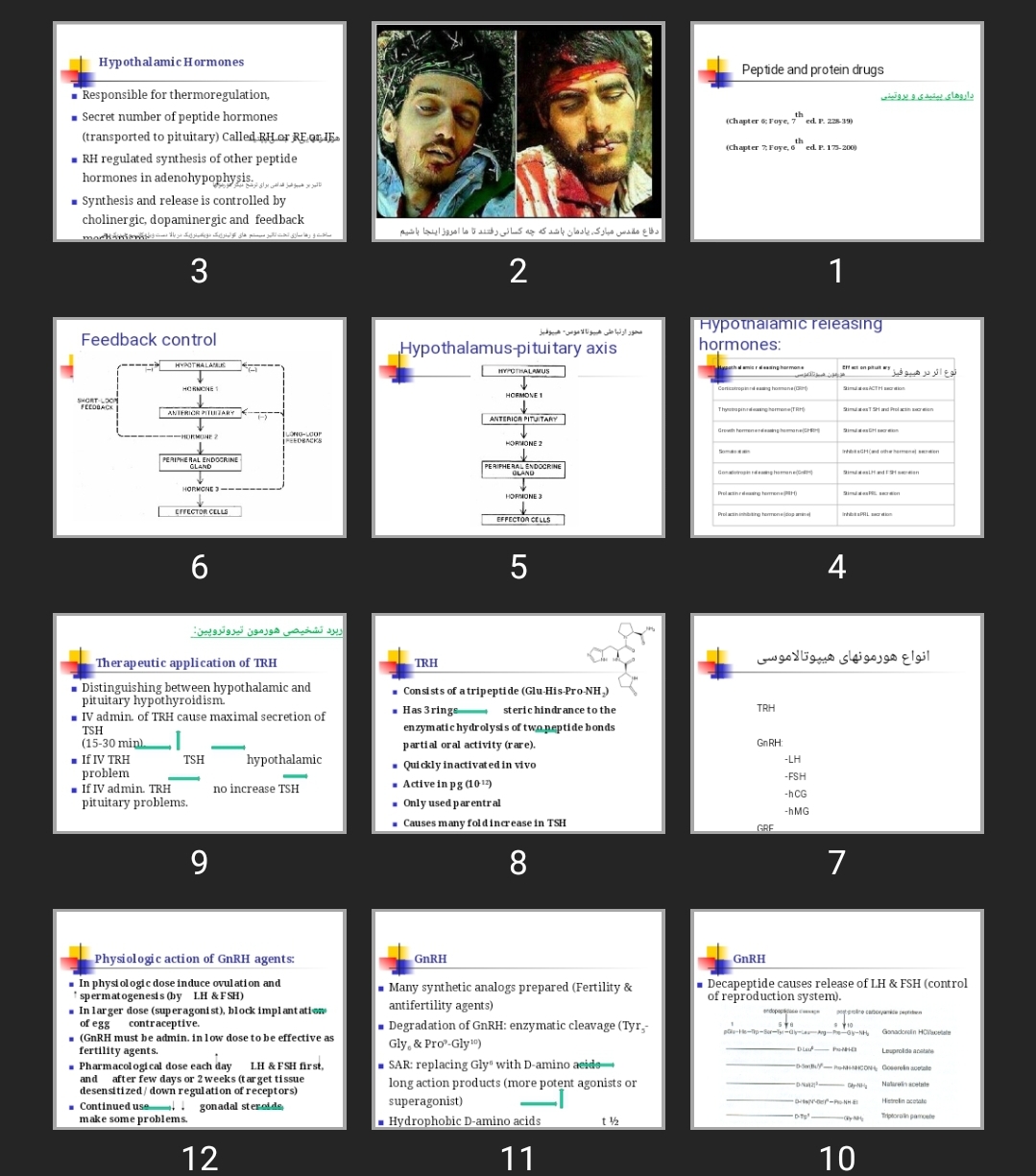 پاورپوینت Peptide and protein drugs