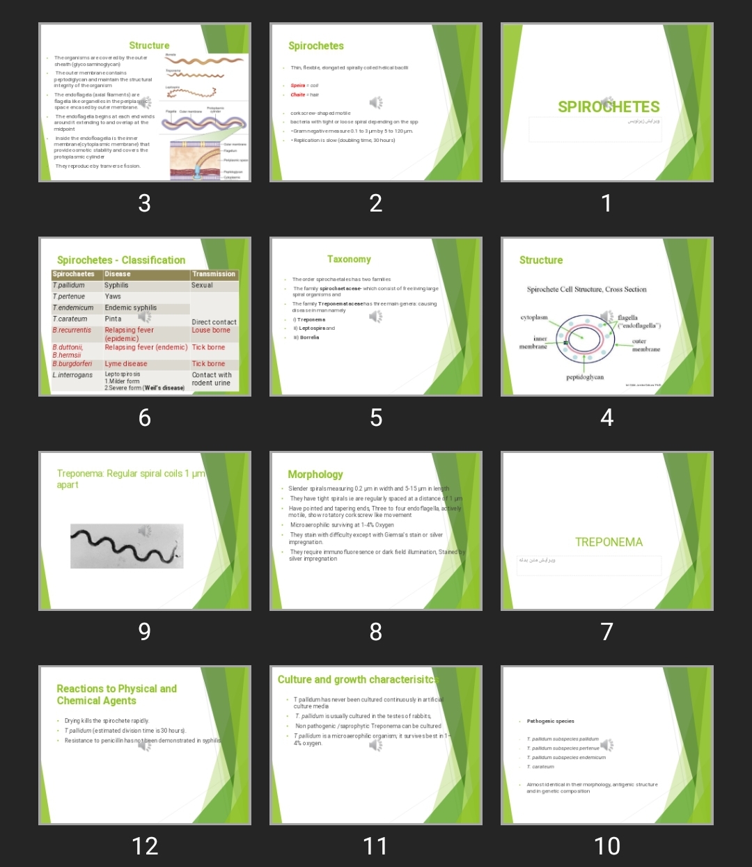 پاورپوینت اسپیروکت ها SPIROCHETES