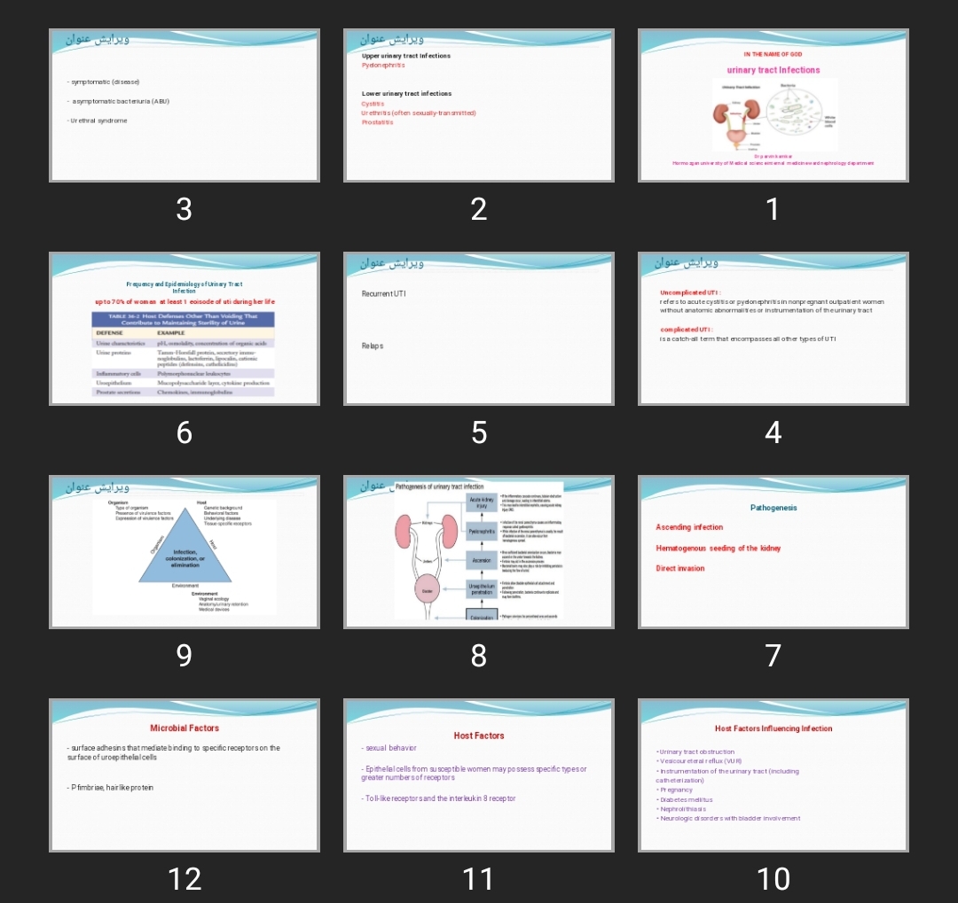 پاورپوینت urinary tract Infections