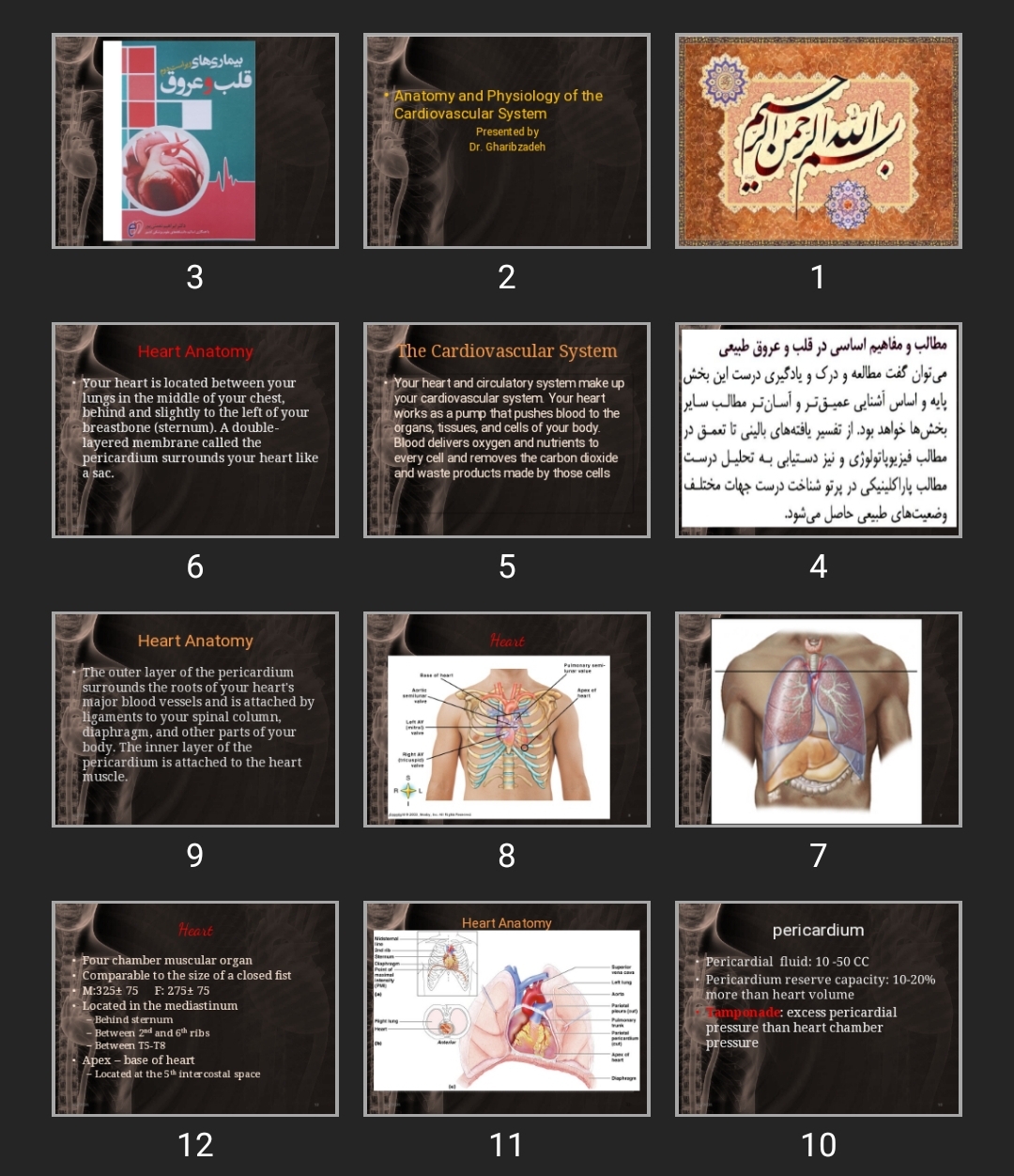 پاورپوینت Anatomy and Physiology of the Cardiovascular System