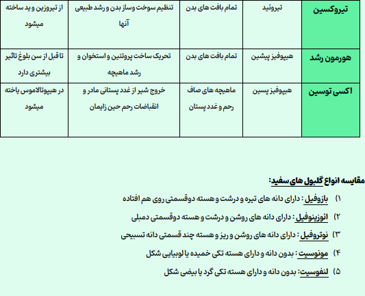 مجموعه خلاصه  زیست شناسی کنکور 1404 (پایه دهم و یازدهم و دوازدهم)