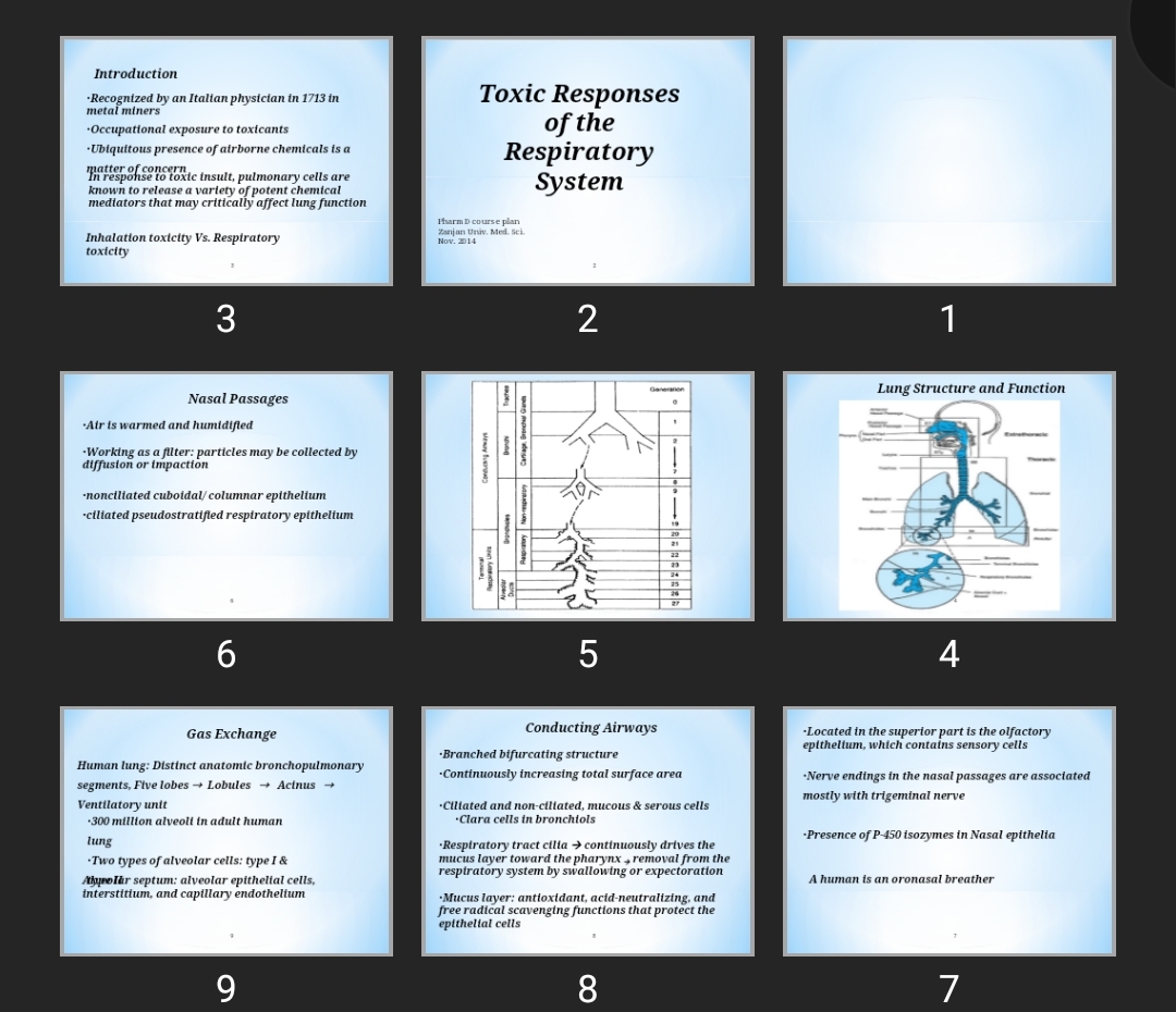 پاورپوینت Toxic Responses of the Respiratory System