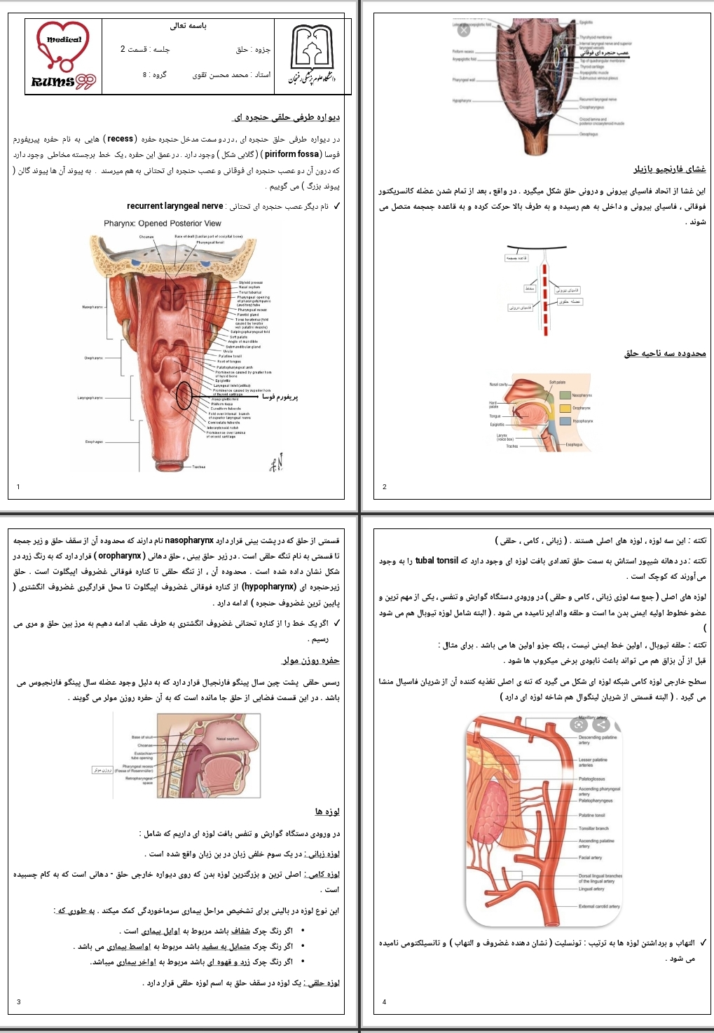 جزوه حلق ۲