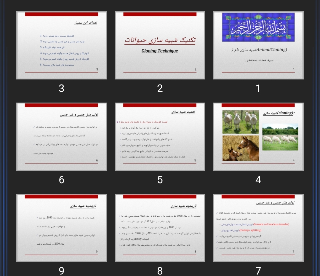 پاورپوینت شبیه سازی دام