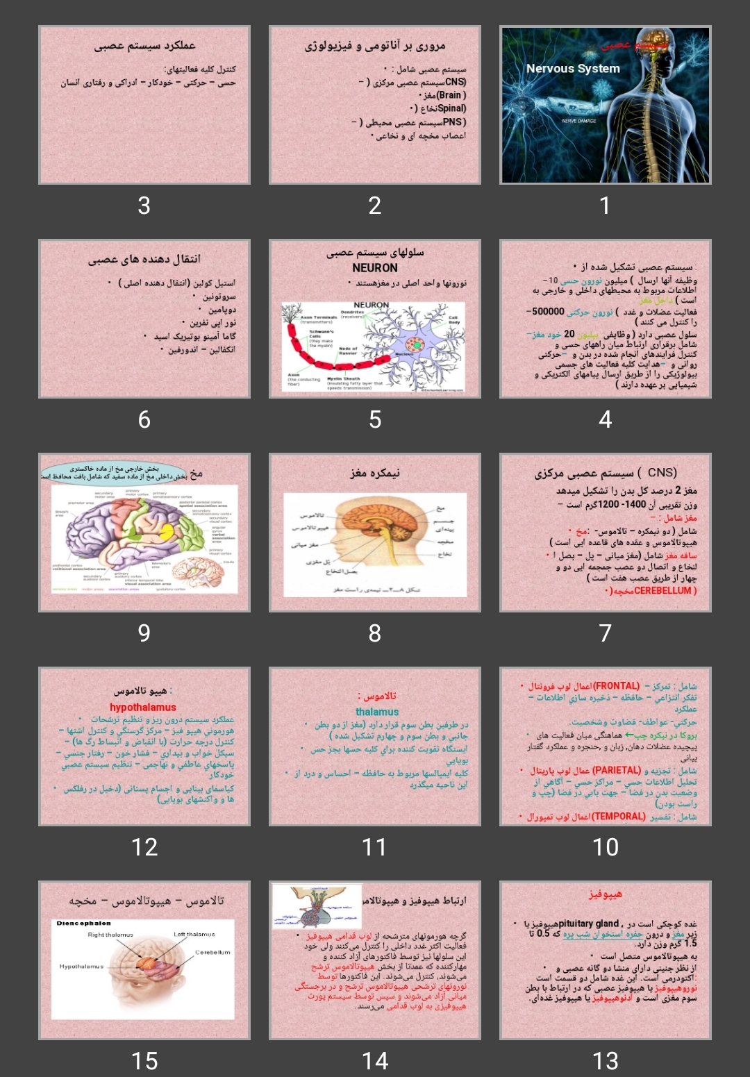 پاورپوینت سیستم عصبی