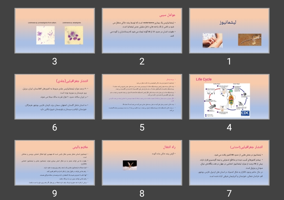 پاورپوینت لیشمانیوز