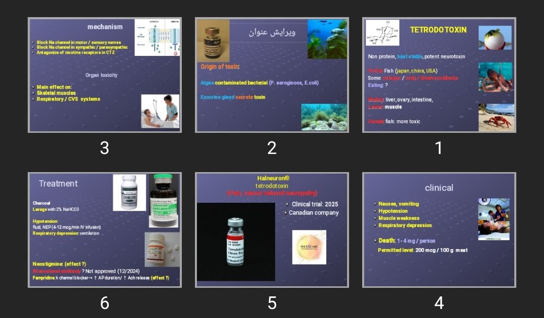 پاورپوینت poisonous fish and shelfish