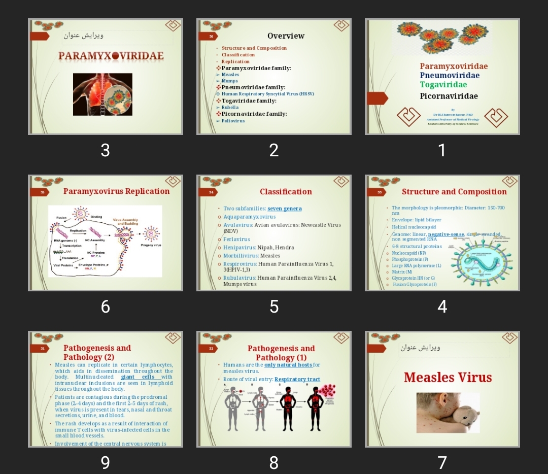 پاورپوینت Paramyxoviridae، Pneumoviridae، Picornaviridae، Togaviridae