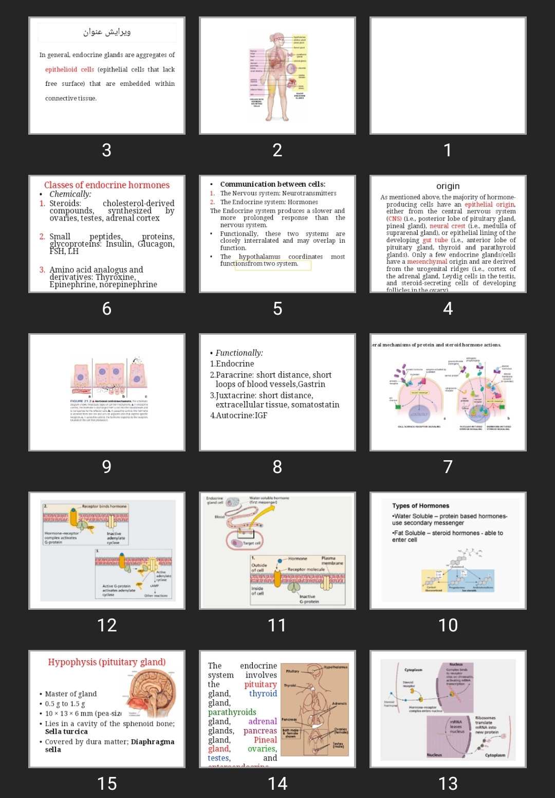 پاورپوینت Endocrine system