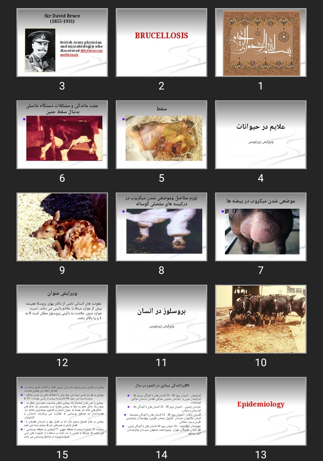 پاورپوینت بروسلوز BRUCELLOSIS