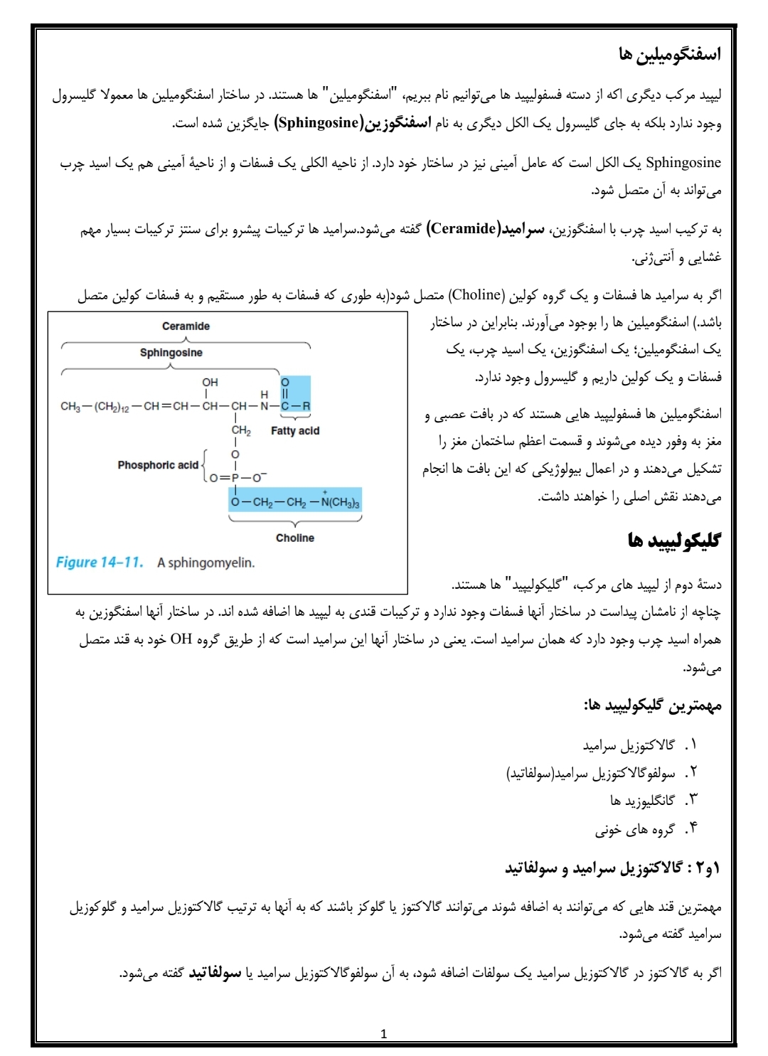 جزوه ساختار و چگونگی ساخت لیپیدها در بدن و نقش بیولوژیکی آنها