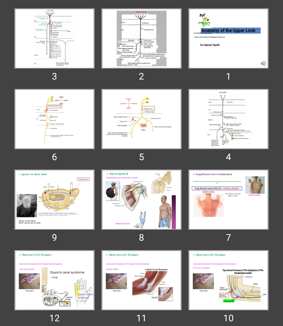 پاورپوینت اعصاب اندام فوقانی Anatomy of the Upper Limb