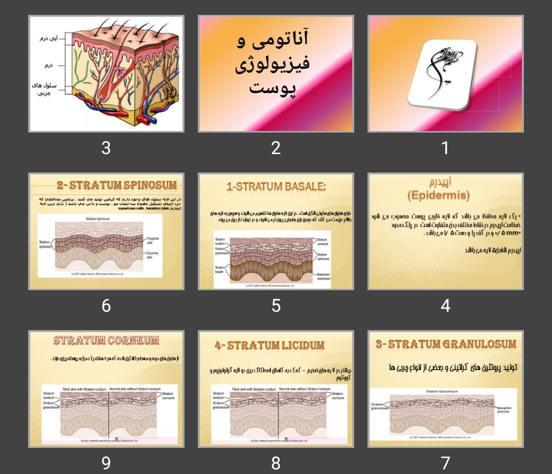 پاورپوینت آناتومی و فیزیولوژی پوست