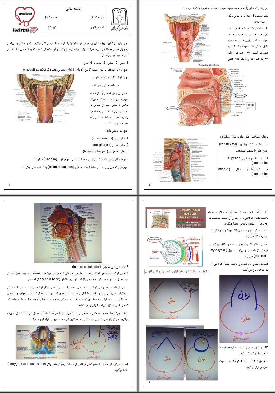 جزوه حلق ۱