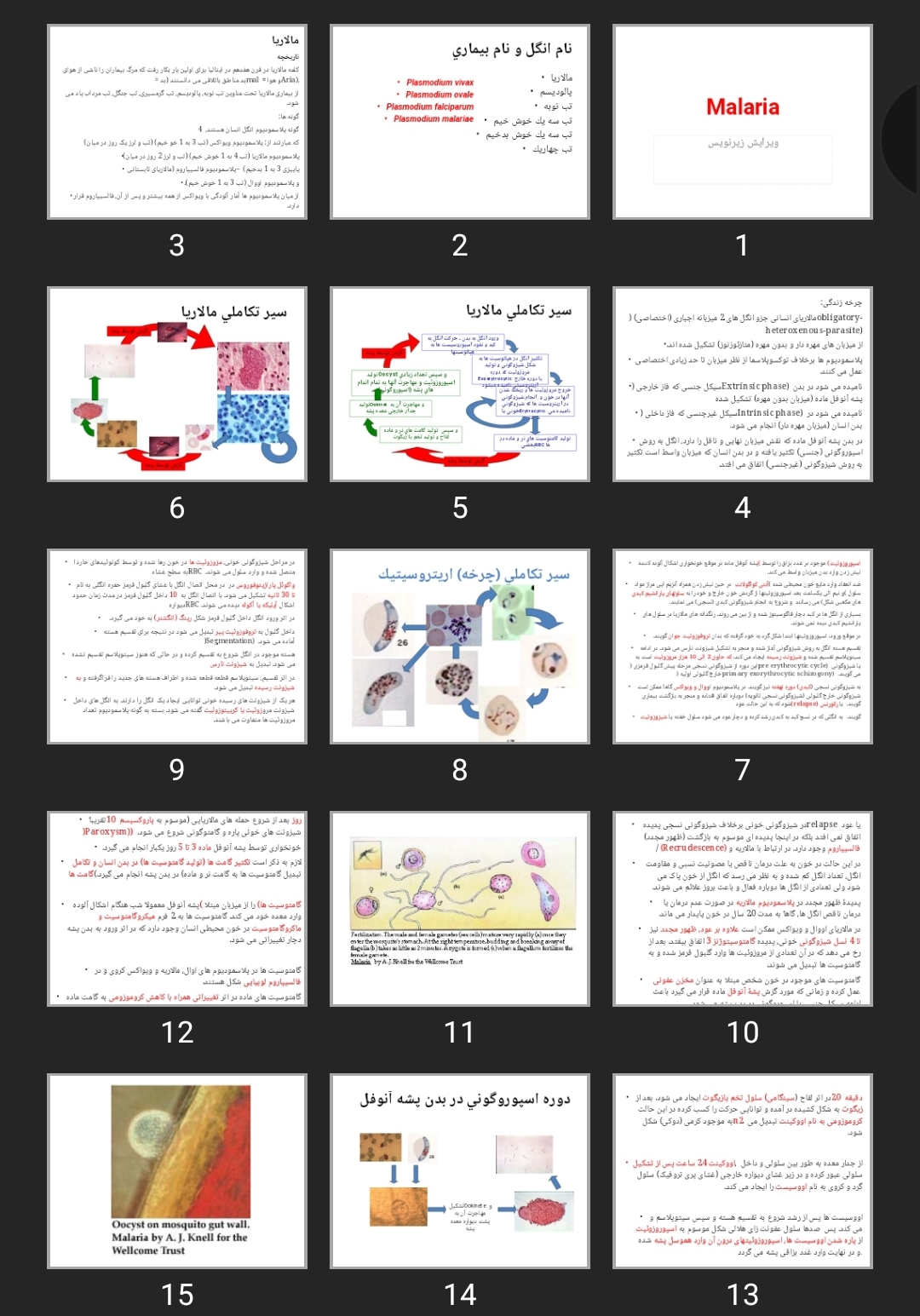 پاورپوینت مالاریا